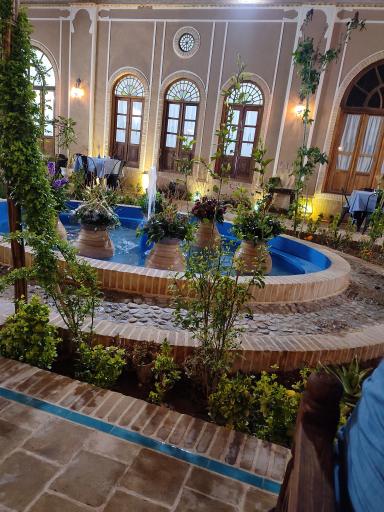 عکس بومگردی نیلوفر آبی