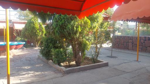 عکس باغچه رستوران پرسپولیس