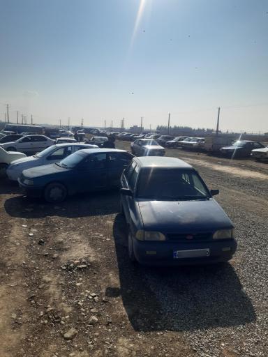 عکس چهارشنبه بازار عجب شیر