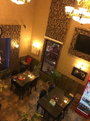 عکس پیتزا هانس