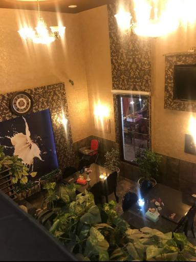 عکس پیتزا هانس