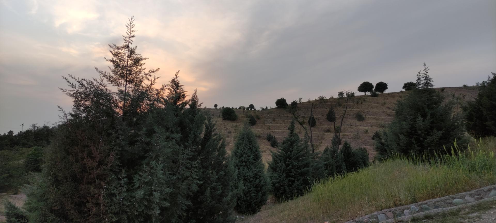 عکس بوستان جنگلی شیان