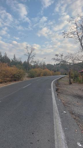 بوستان جنگلی شیان