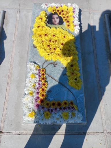 عکس مزار محمد مبین عباسی