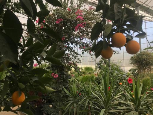 عکس گلستان ویتاسه