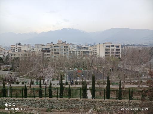 عکس بوستان جنگلی شیان