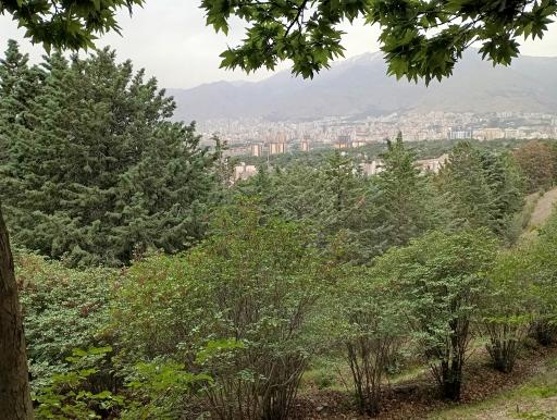 بوستان جنگلی شیان