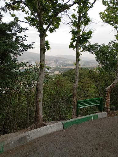 عکس بوستان جنگلی شیان