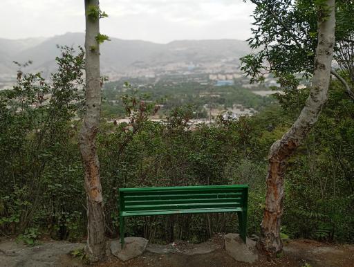 عکس بوستان جنگلی شیان