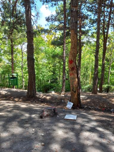 عکس بوستان جنگلی شیان