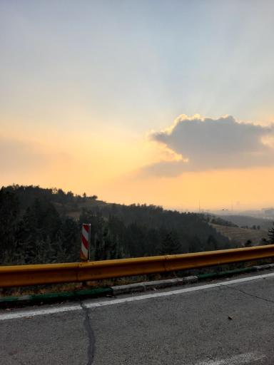 عکس بوستان جنگلی شیان