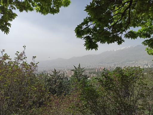 عکس بوستان جنگلی شیان