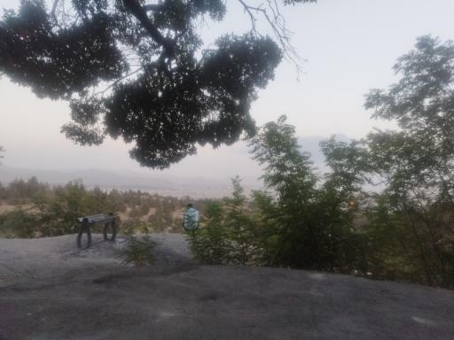 بوستان جنگلی شیان