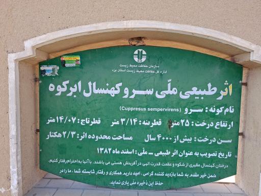 عکس سرو ابرکوه