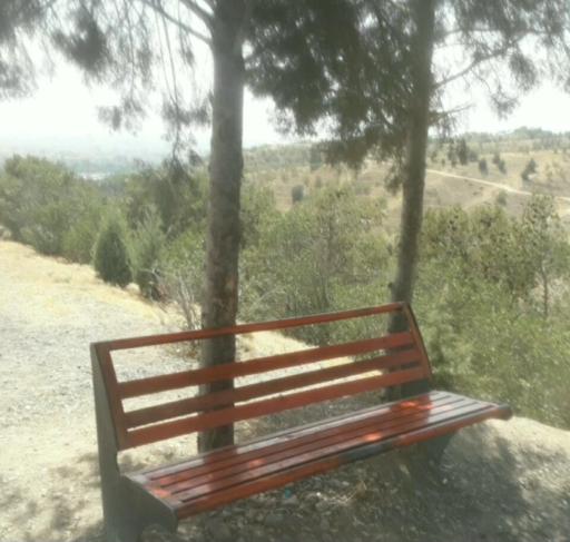 عکس بوستان جنگلی شیان