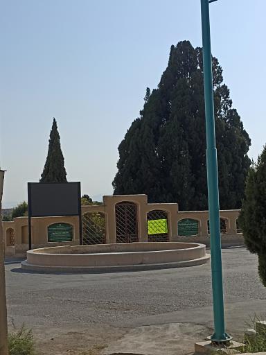 عکس سرو ابرکوه