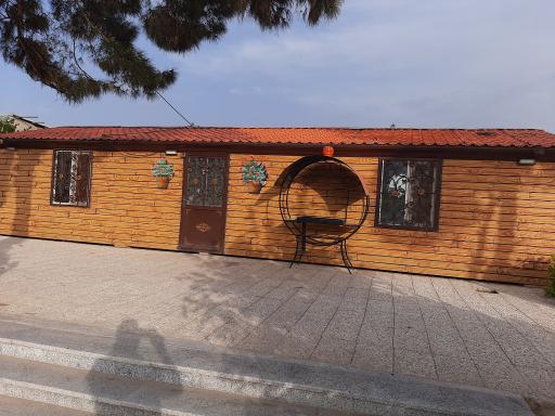 عکس متین کانتین 