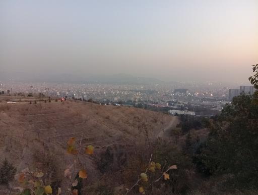 عکس بوستان جنگلی شیان