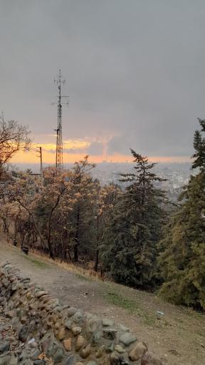 عکس بوستان جنگلی شیان