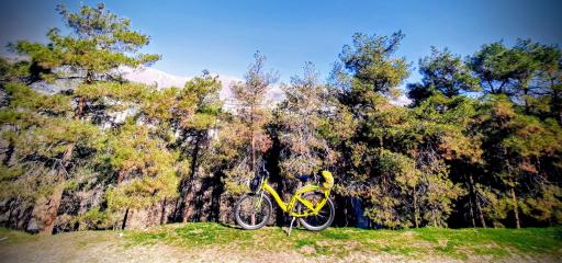 عکس بوستان جنگلی شیان