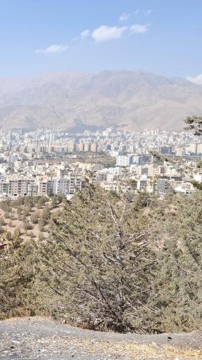 عکس بوستان جنگلی شیان