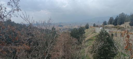 عکس بوستان جنگلی شیان