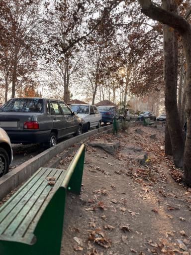 عکس بوستان جنگلی شیان