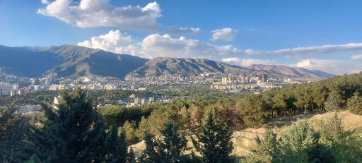 عکس بوستان جنگلی شیان