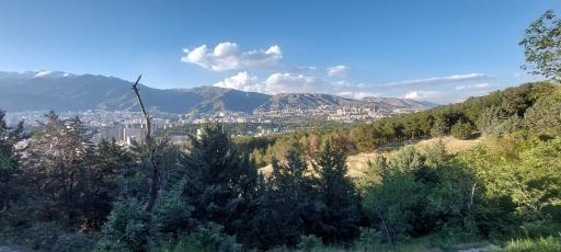 عکس بوستان جنگلی شیان