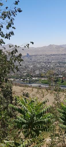 عکس بوستان جنگلی شیان