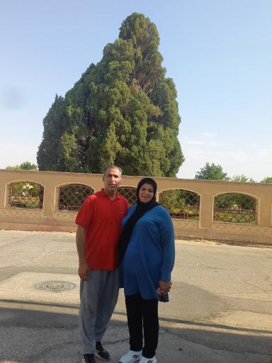 عکس سرو ابرکوه