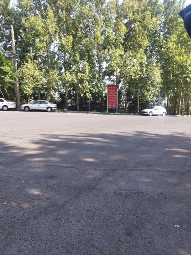 بوستان جنگلی شیان