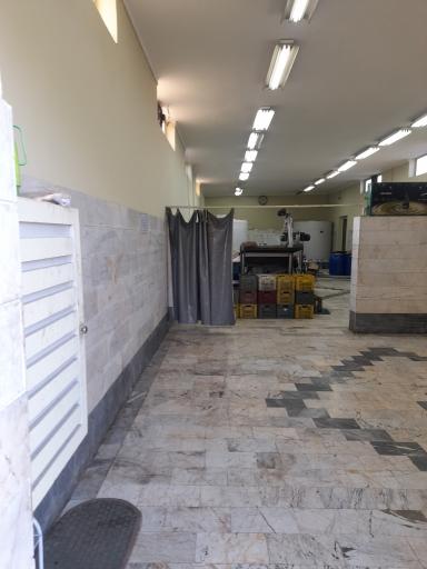 عکس کارگاه روغن کشی زیتون