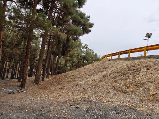 عکس بوستان جنگلی شیان