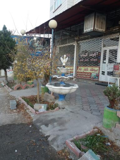 عکس غذا خوری آنا آتا