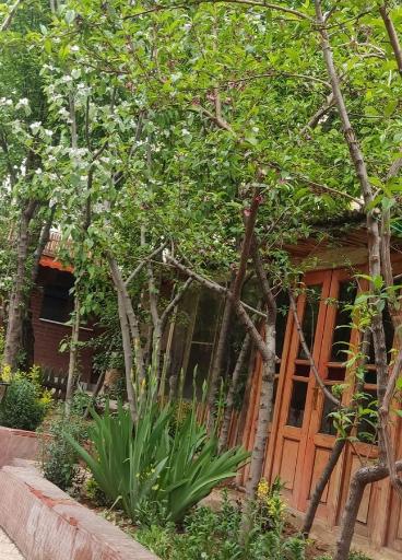 عکس رستوران سنتی شب نشین