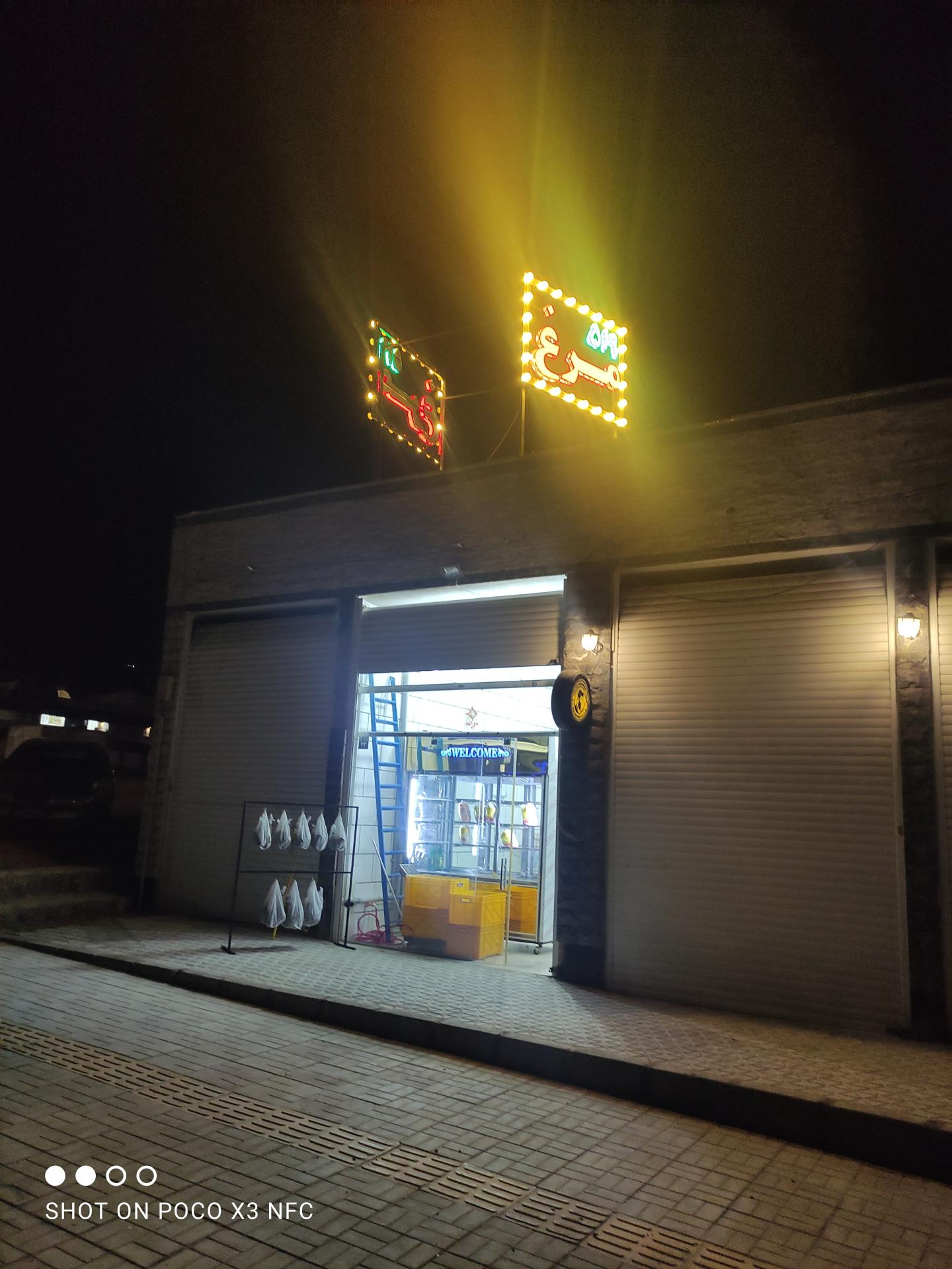 عکس مرغ و پروتئین 519