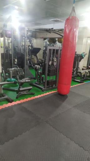 عکس باشگاه رزمی کاران البرز