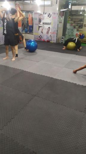 عکس باشگاه رزمی کاران البرز