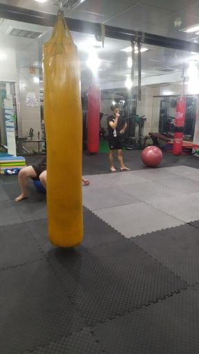 عکس باشگاه رزمی کاران البرز