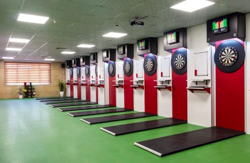 عکس دارت پیشرو PDCIR