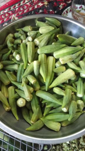 عکس ترش و شیرین گلها