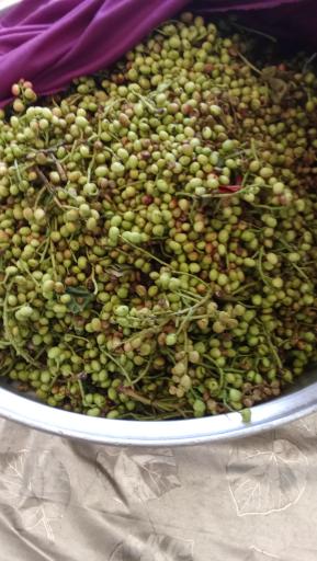 عکس ترش و شیرین گلها