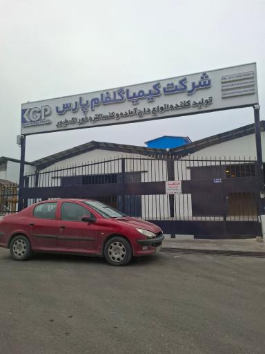 عکس کیمیا گلفام پارس