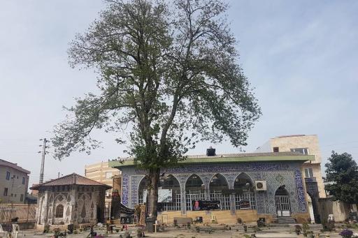 عکس امامزاده قاسم آمل