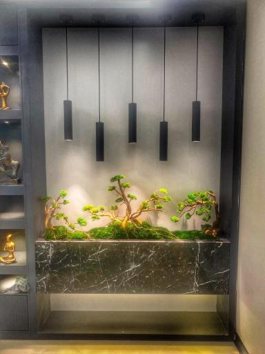 عکس نوین طبیعت