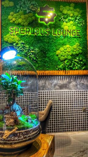 عکس نوین طبیعت