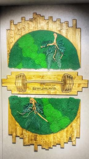 عکس نوین طبیعت