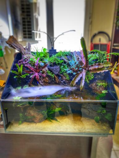 عکس نوین طبیعت