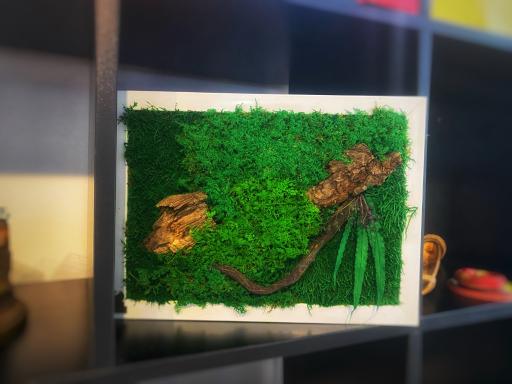 عکس نوین طبیعت